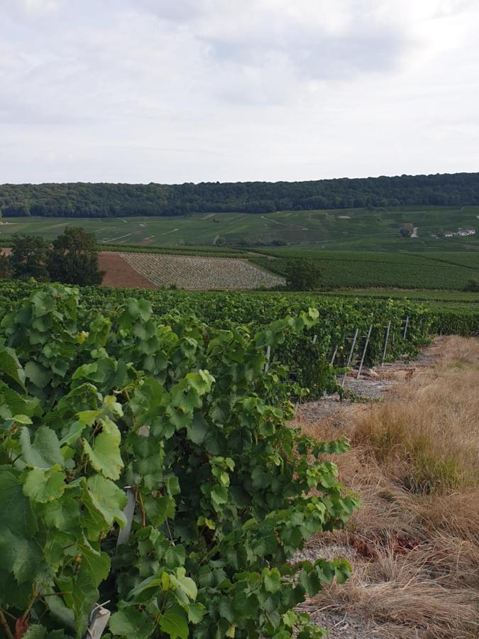 La Longere De Vin'Ay Lejlighed Vinay  Eksteriør billede